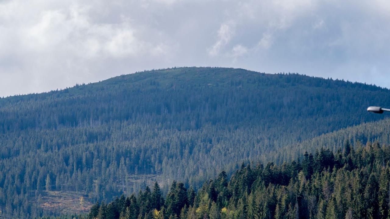 U Jedrusia Διαμέρισμα Zubrzyca Gorna Εξωτερικό φωτογραφία