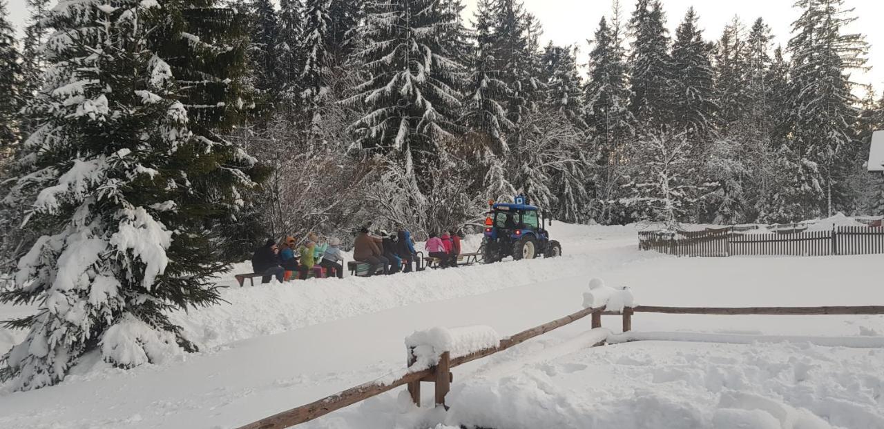 U Jedrusia Διαμέρισμα Zubrzyca Gorna Εξωτερικό φωτογραφία