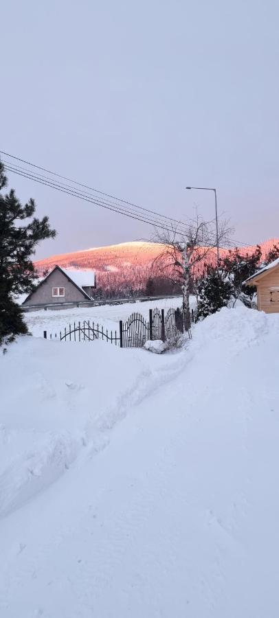U Jedrusia Διαμέρισμα Zubrzyca Gorna Εξωτερικό φωτογραφία